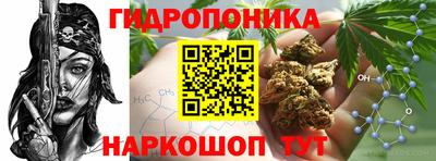 apvp Наро-Фоминск